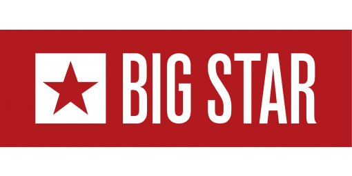 bigstar_logo_poziom_2015_2.png